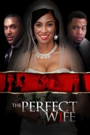 watch The Perfect Wife free online