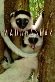 watch Madagascar free online