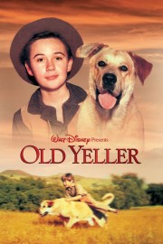 watch Old Yeller free online