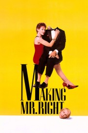 watch Making Mr. Right free online