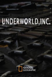 watch Underworld, Inc. free online