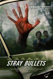 watch Stray Bullets free online