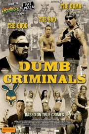 watch Dumb Criminals: The Movie free online