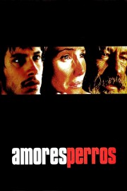 watch Amores Perros free online