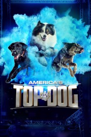 watch America's Top Dog free online