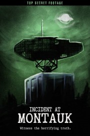 watch Incident at Montauk free online