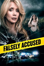 watch Falsely Accused free online