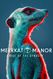 watch Meerkat Manor: Rise of the Dynasty free online