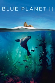 watch Blue Planet II free online