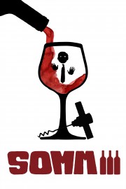 watch Somm 3 free online