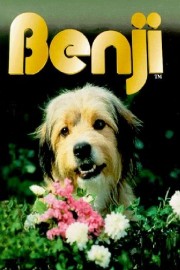 watch Benji free online