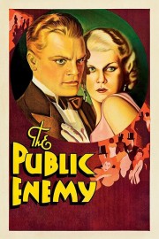 watch The Public Enemy free online