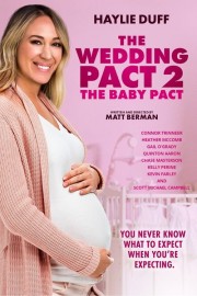 watch The Wedding Pact 2: The Baby Pact free online