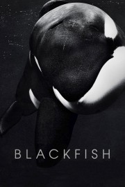 watch Blackfish free online