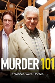 watch Murder 101: If Wishes Were Horses free online