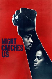 watch Night Catches Us free online