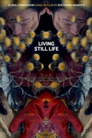 watch Living Still Life free online