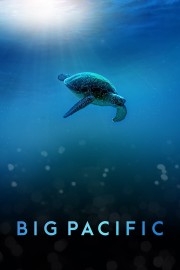 watch Big Pacific free online