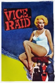 watch Vice Raid free online