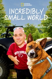 watch Incredibly Small World free online