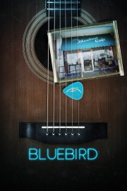 watch Bluebird free online