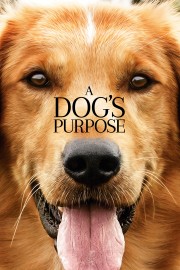 watch A Dog's Purpose free online