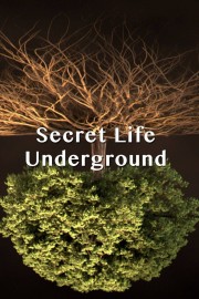 watch Secret Life Underground free online