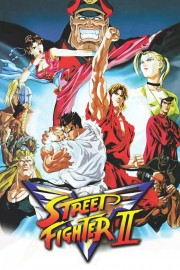 watch Street Fighter II: V free online