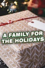 watch A Family for the Holidays free online