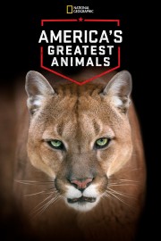 watch America's Greatest Animals free online