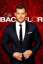 watch The Bachelor free online