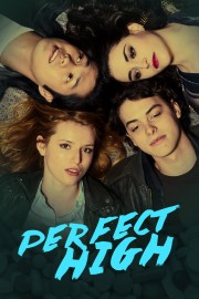 watch Perfect High free online