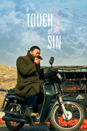 watch A Touch of Sin free online