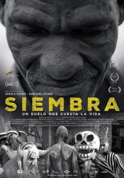 watch Siembra free online