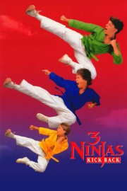 watch 3 Ninjas Kick Back free online