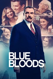 watch Blue Bloods free online