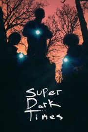 watch Super Dark Times free online