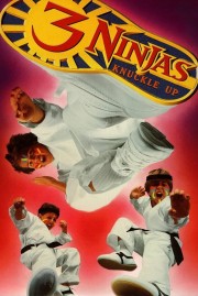 watch 3 Ninjas Knuckle Up free online