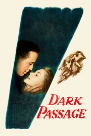 watch Dark Passage free online