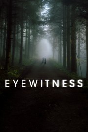 watch Eyewitness free online