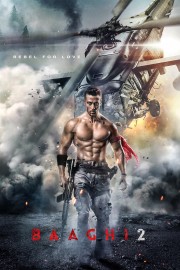 watch Baaghi 2 free online