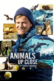 watch Animals Up Close with Bertie Gregory free online