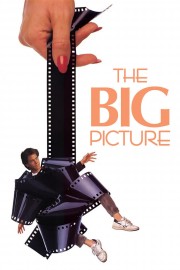 watch The Big Picture free online