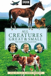 watch All Creatures Great and Small free online