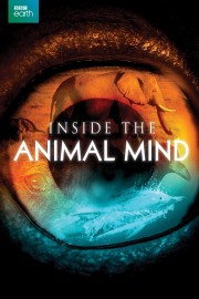 watch Inside the Animal Mind free online