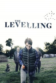 watch The Levelling free online