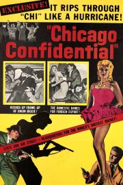 watch Chicago Confidential free online