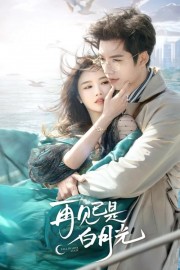 watch Fall in Love Again free online