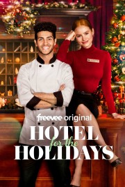 watch Hotel for the Holidays free online