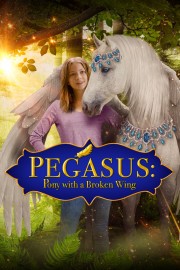 watch Pegasus: Pony With a Broken Wing free online